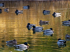 ゆっくり休んで