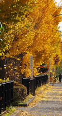 どこもかしこも