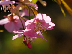 そろそろ終わりですね