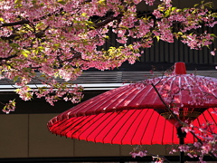 和の香り
