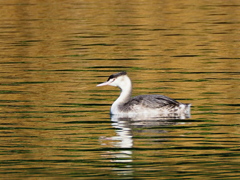 はじめまして！
