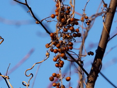 暑かったあの日