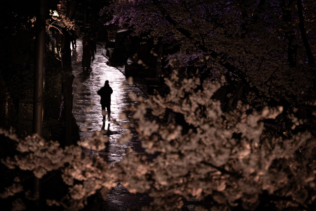 雨上がり