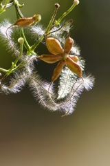 IMG_8067