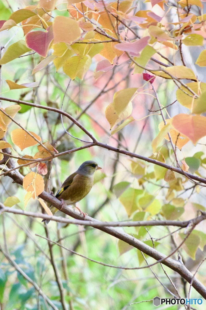 IMG_8611秋の川縁