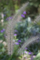 IMG_6292