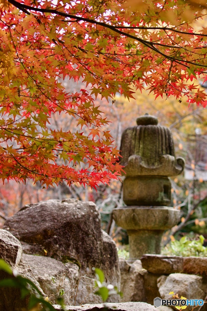 IMG_8346寺院の境内