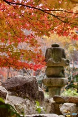 IMG_8346寺院の境内