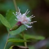 IMG_3837