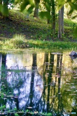 IMG_7613水辺の秋