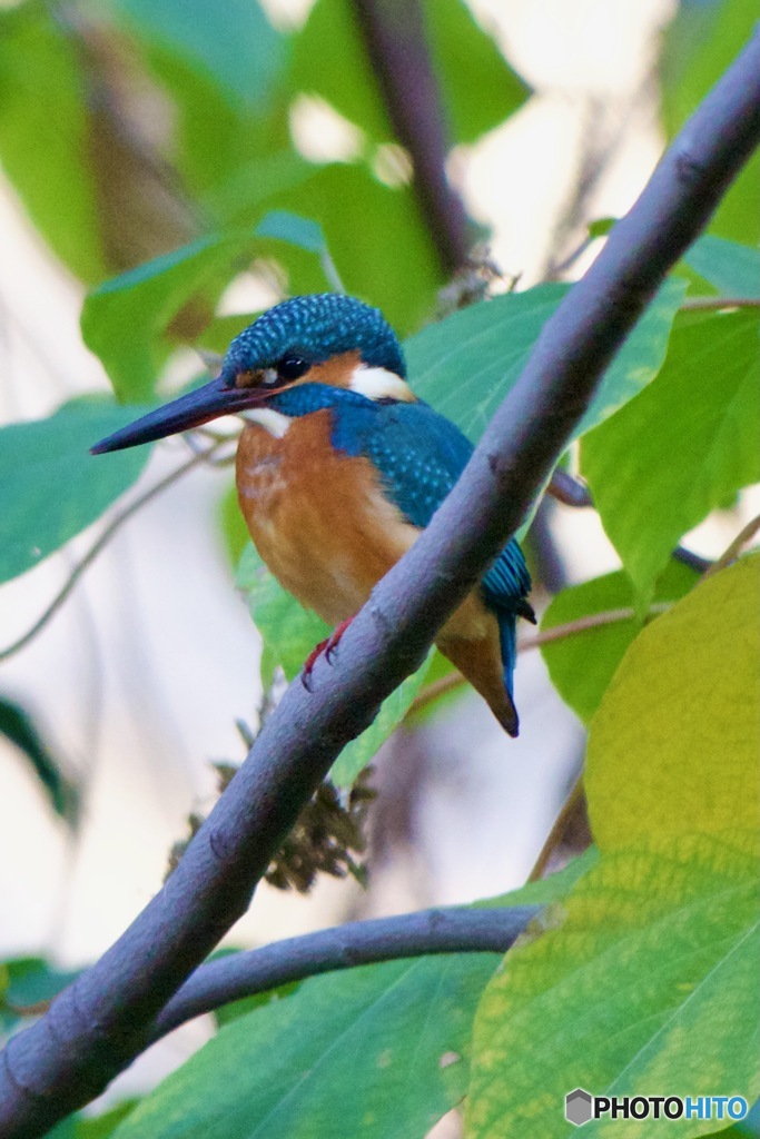 IMG_8249　若雄さん