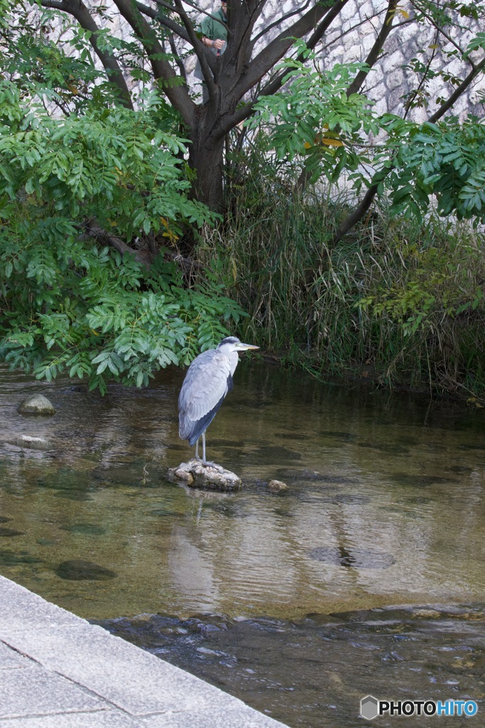 IMG_7288　足が冷たくなって来た