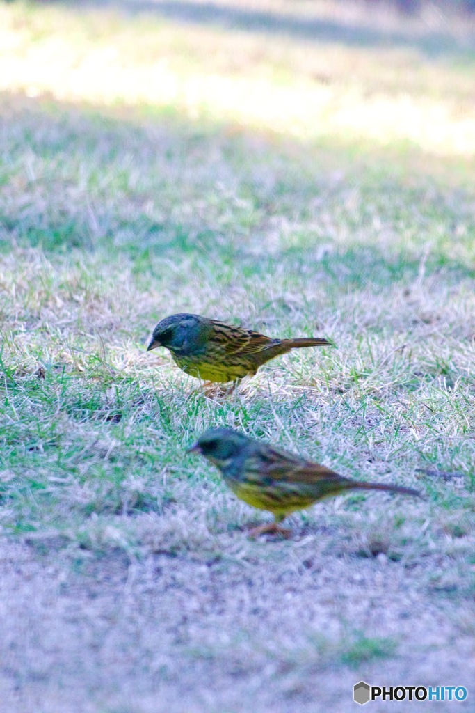 IMG_7530　連れと