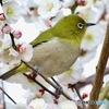 IMG_1019　思いのままの中で