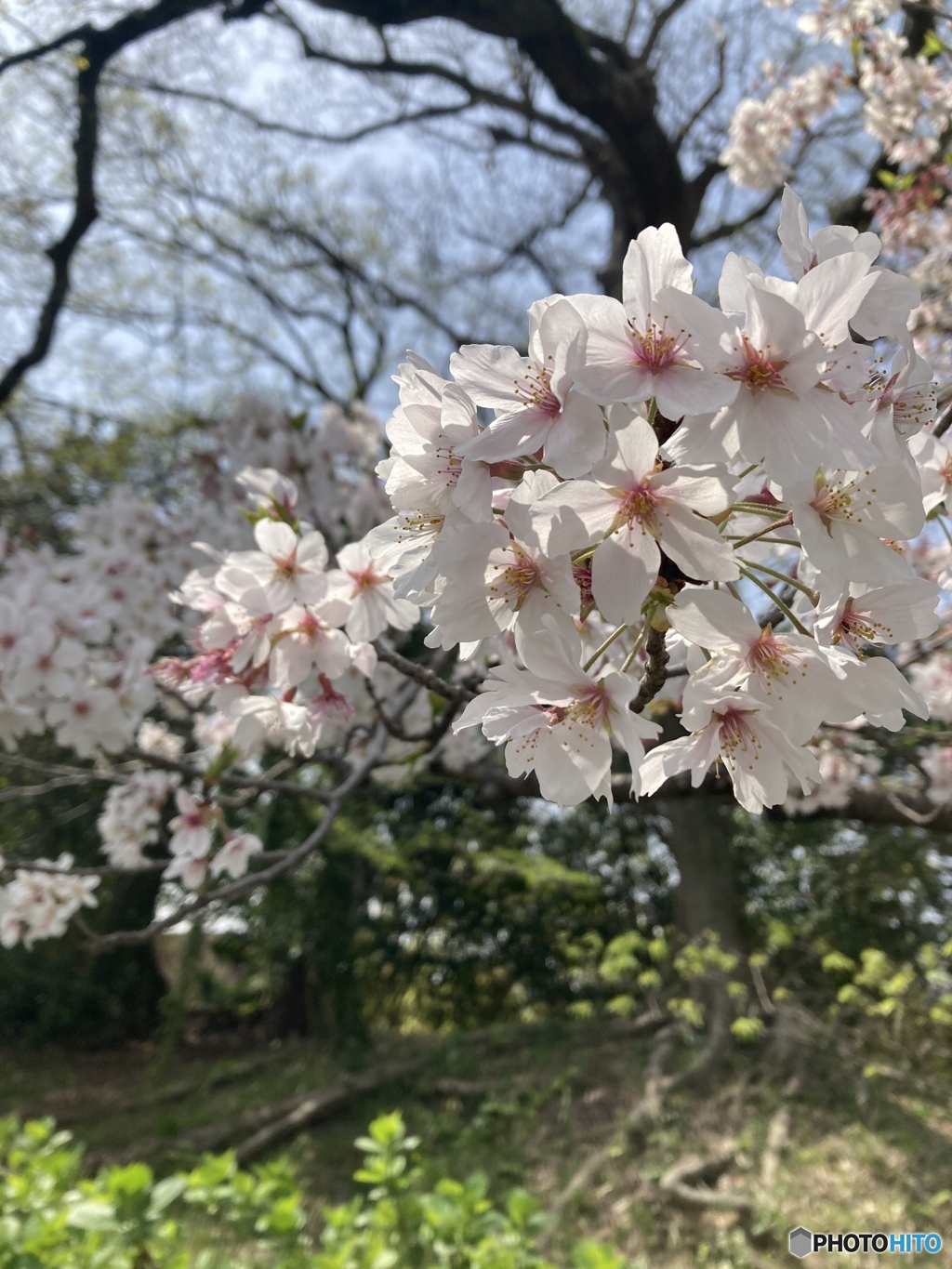 福岡城跡