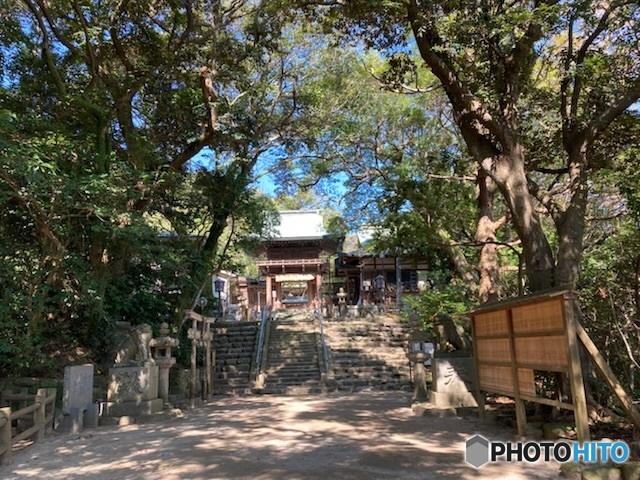 志賀島神社