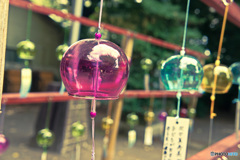 鈴の音に誘われて