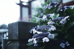 神社の片隅で