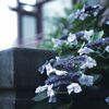 神社の片隅で