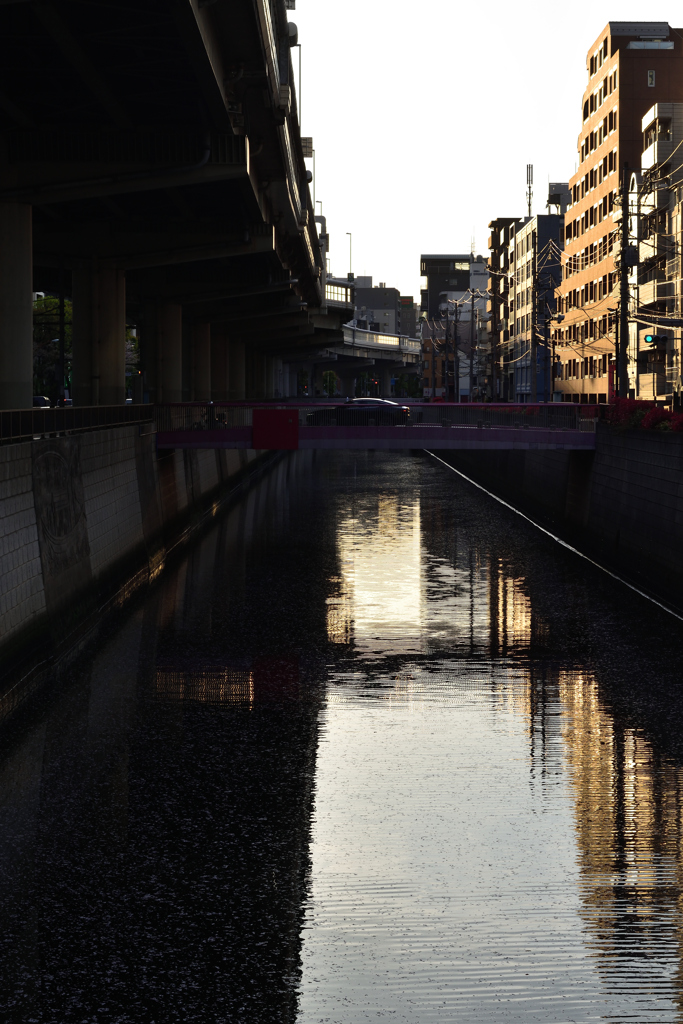 首都高5号池袋線