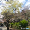 20170422_113104