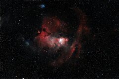 NGC2264