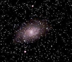 M33