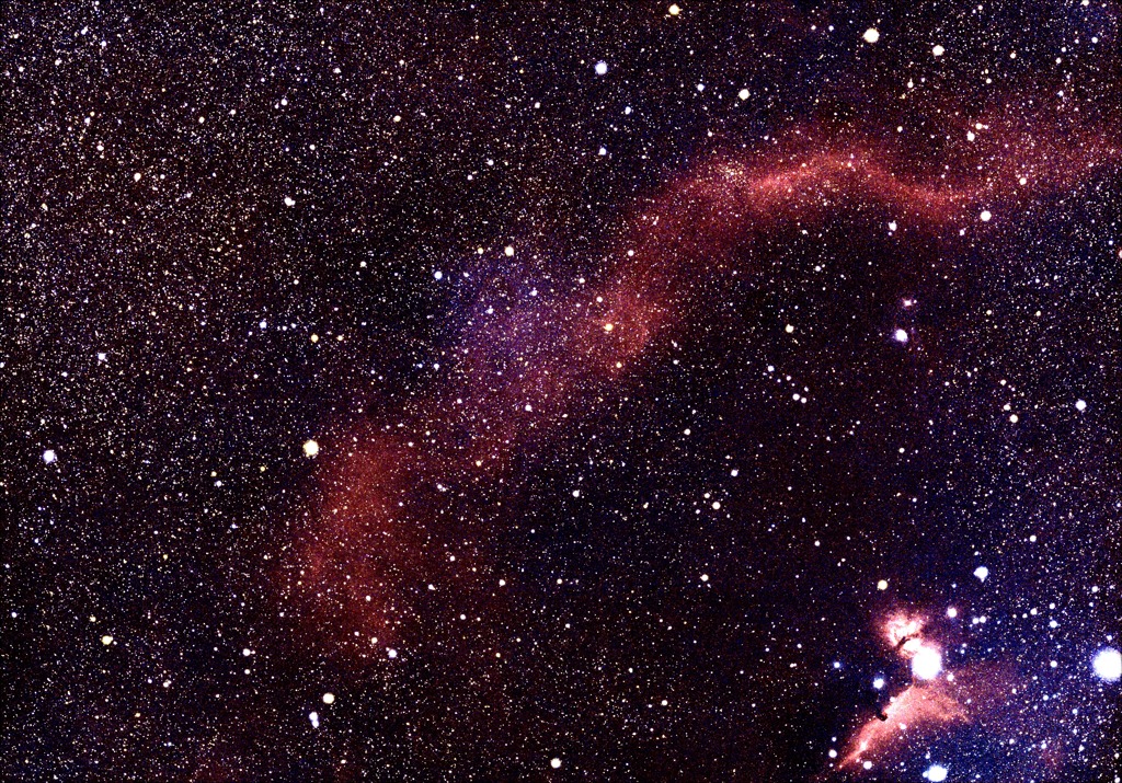 バーナードループ