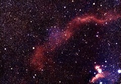 バーナードループ