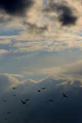 空を見上げたら