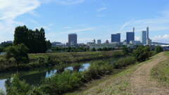 芝川