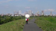 荒川土手　夏