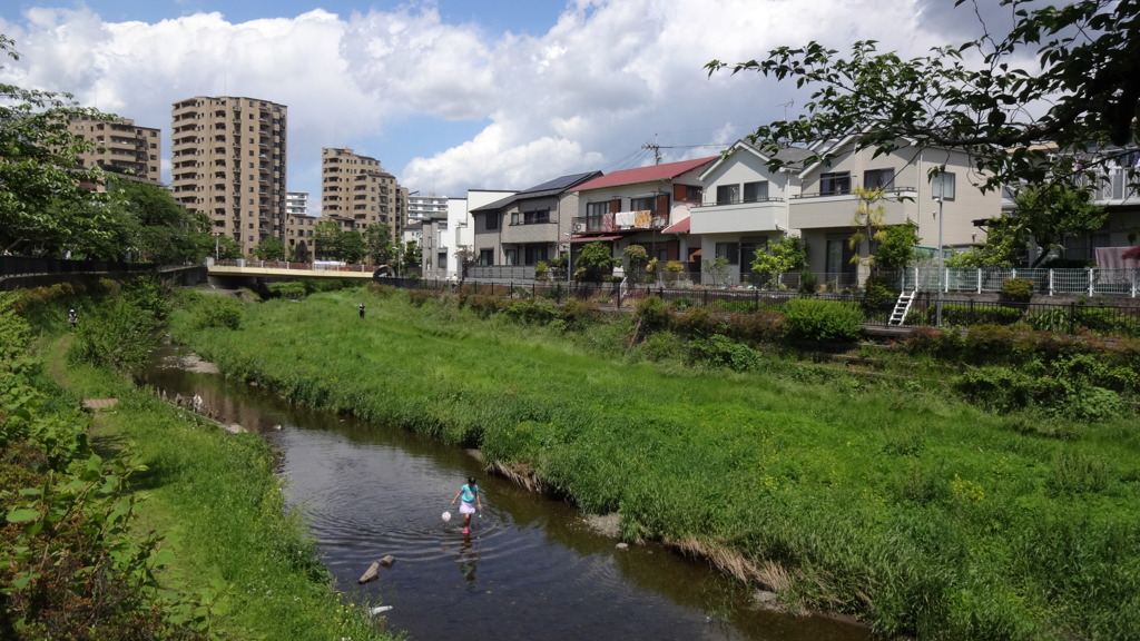 野川