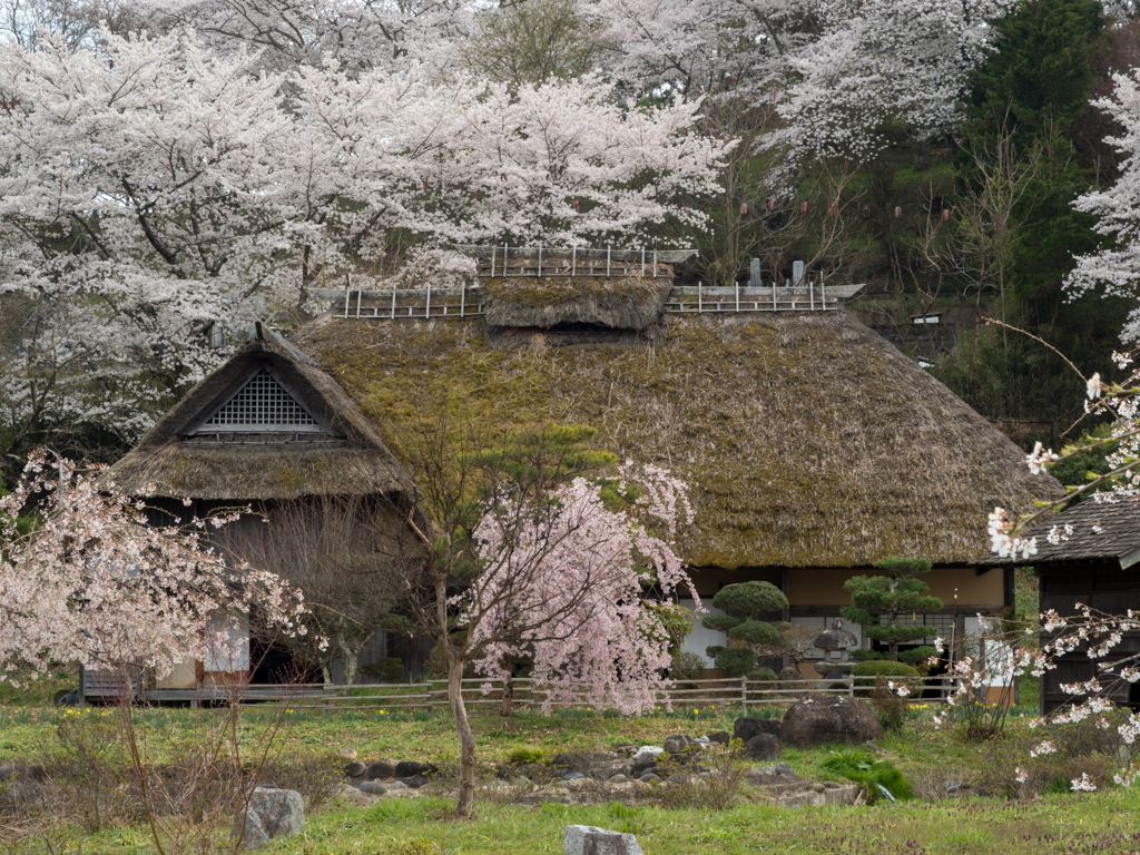 里山の春