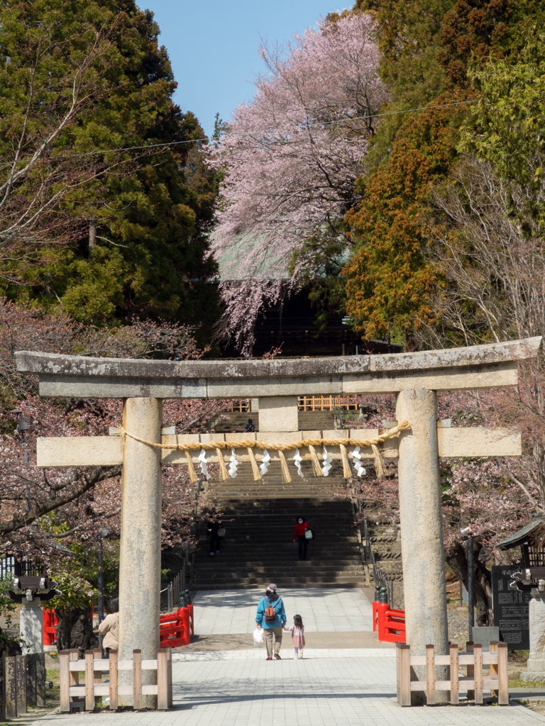 春の仙台東照宮
