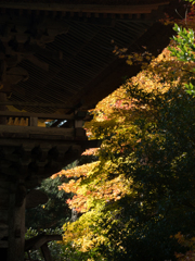 山門の陰から
