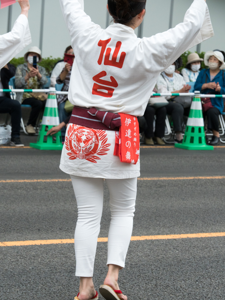 羽ばたくスズメ