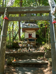 猫神社　2