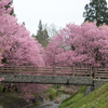 花の架け橋