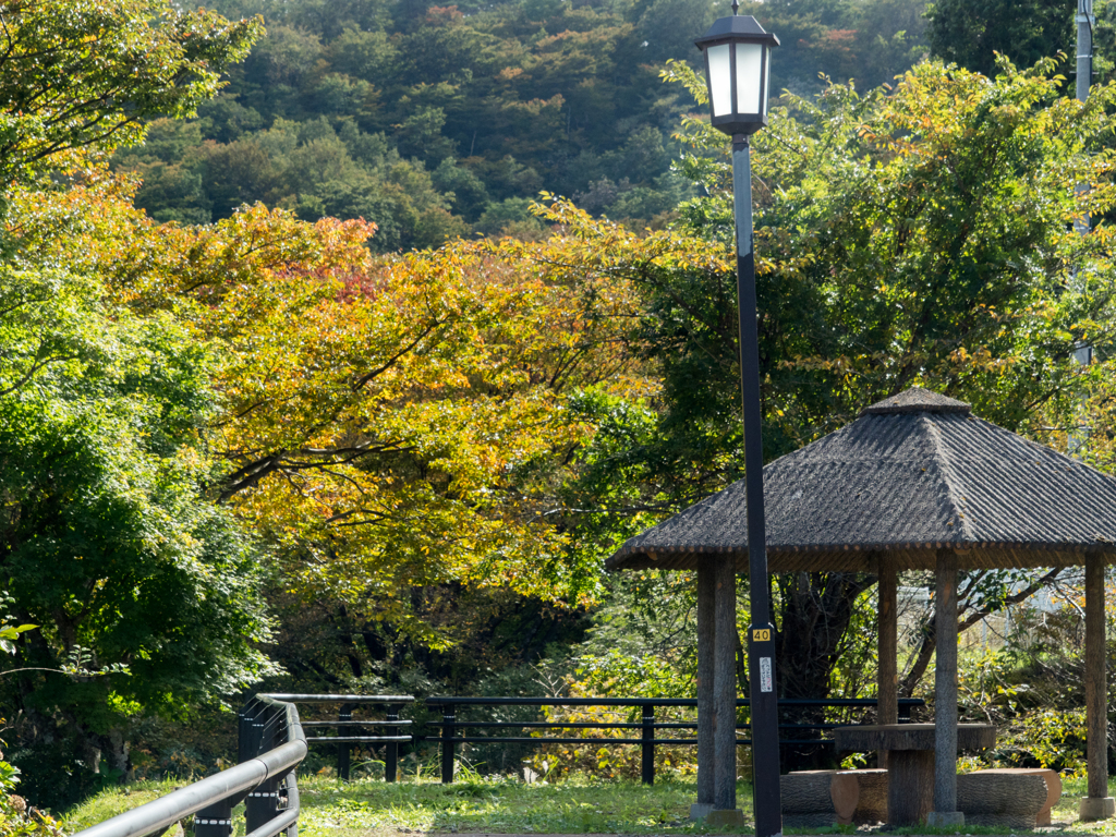 東屋と紅葉