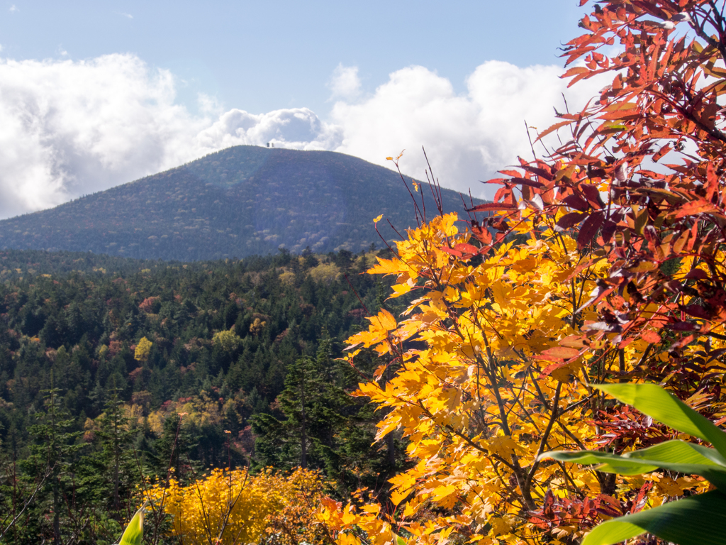 紅葉と東吾妻山