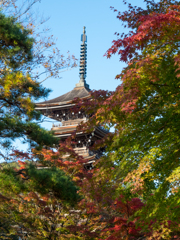 紅葉と五重塔