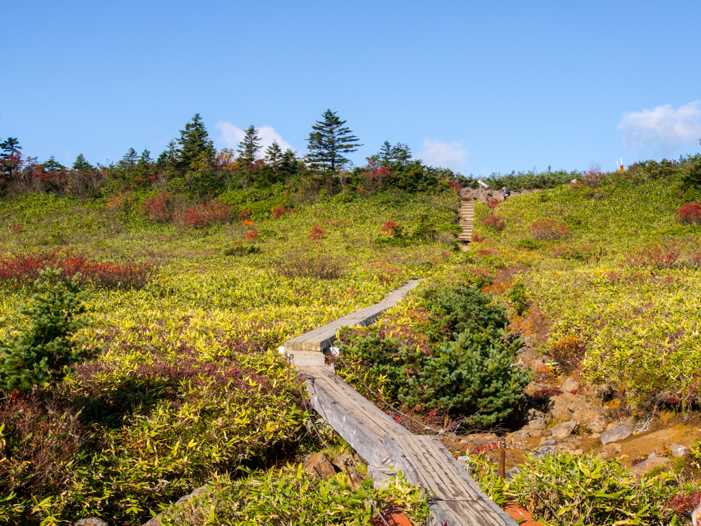 山の平原