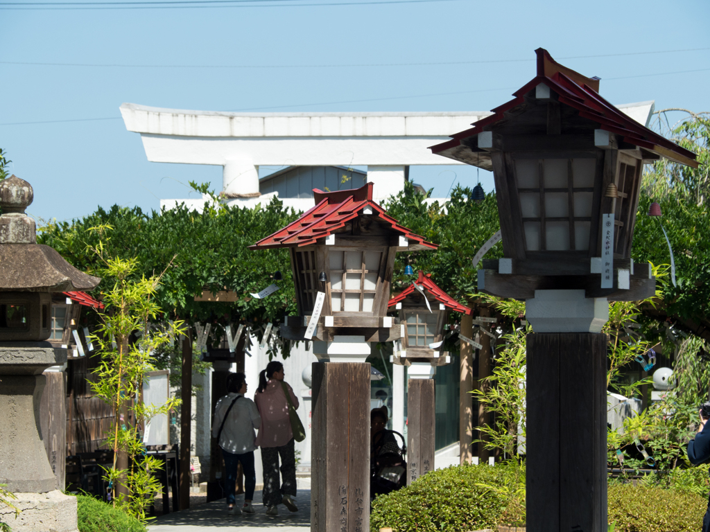 行燈と風鈴が導く