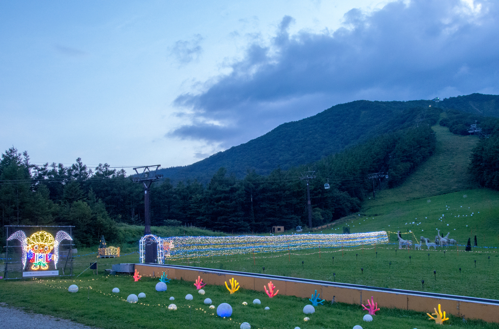 夕刻に光が灯る