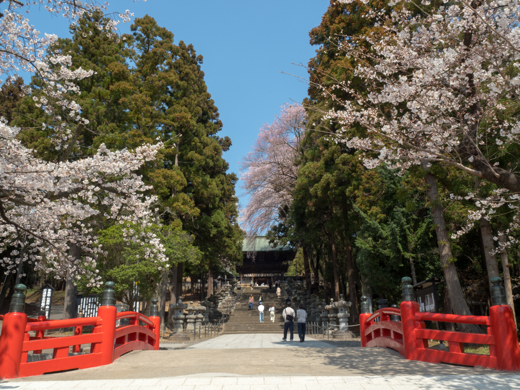 春爛漫の東照宮