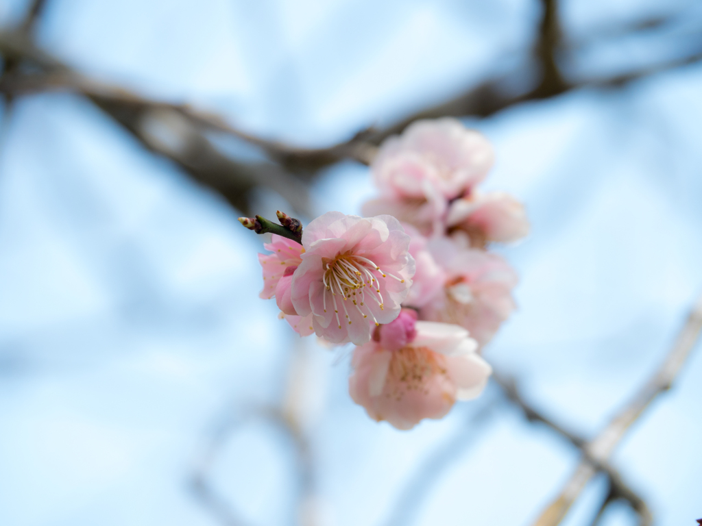 お仲間同士