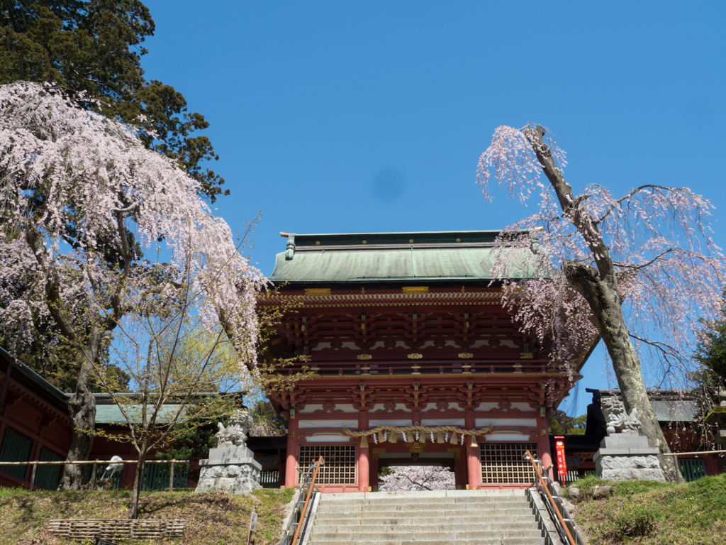 両手に花の随身門