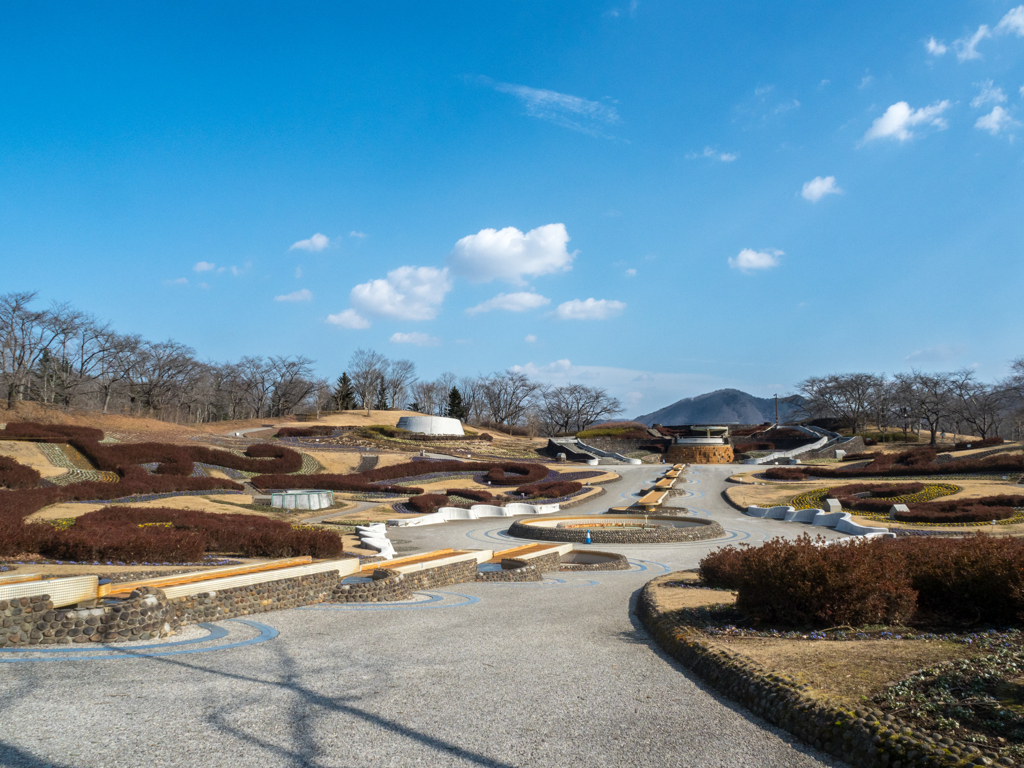 冬の湖畔公園