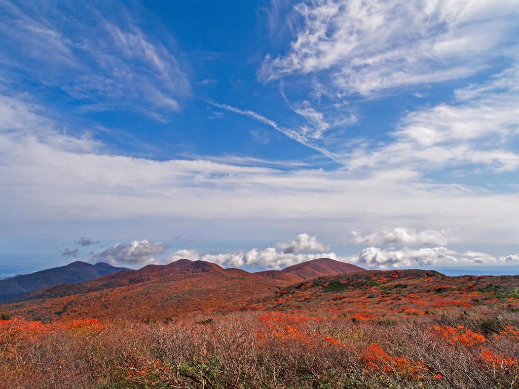 青空と紅葉パラダイス